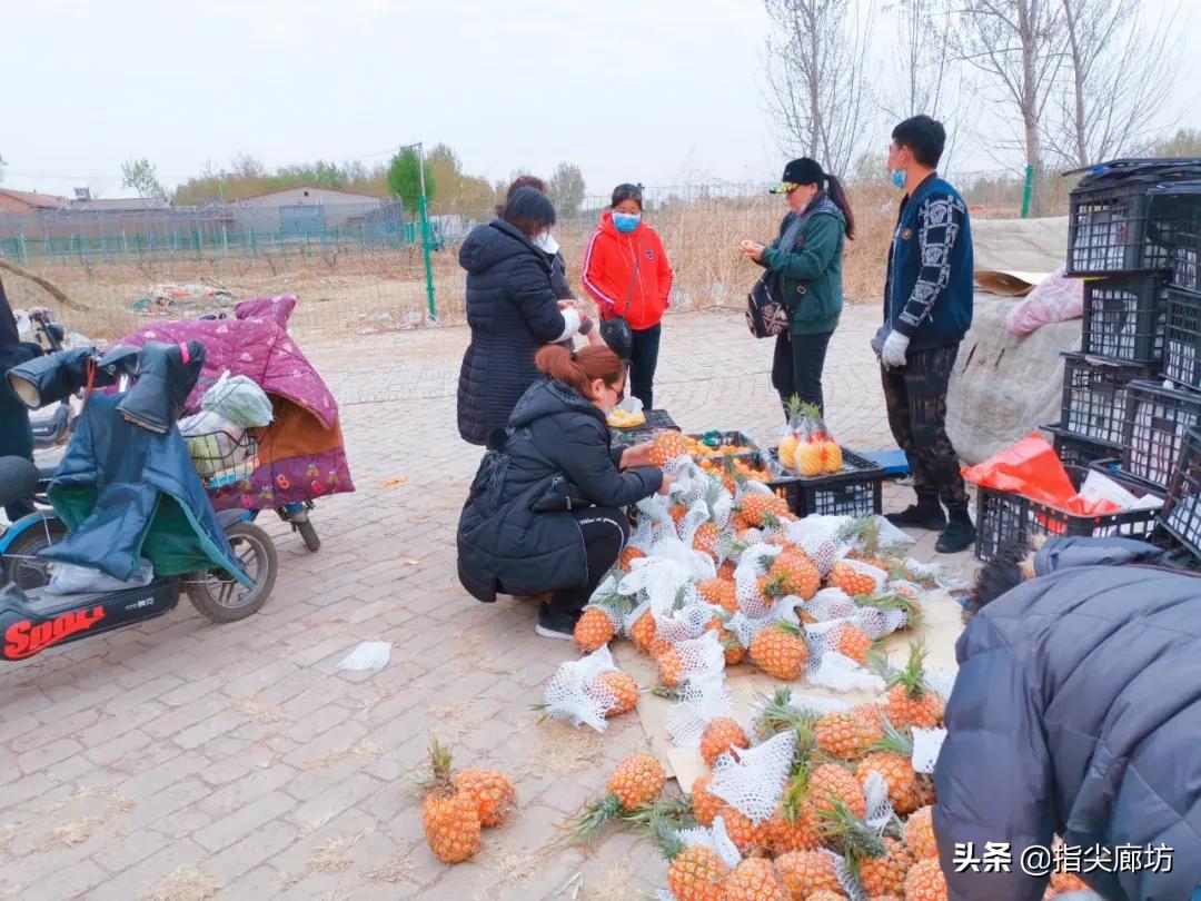 廊坊杨税务集市,在早市遇见久违的人间烟火气