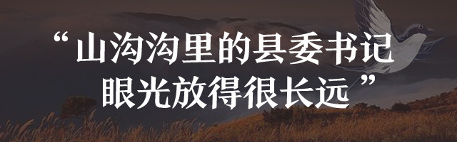 待到山花烂漫——追记“最美扶贫书记”黄诗燕