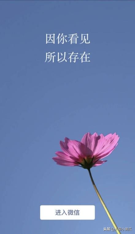 最新规定微信在什么情况下封号,微信封号几次永久封号怎么解除