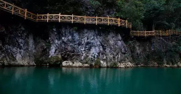 贵州旅游景区直通车攻略,贵州平坝樱花旅游直通车