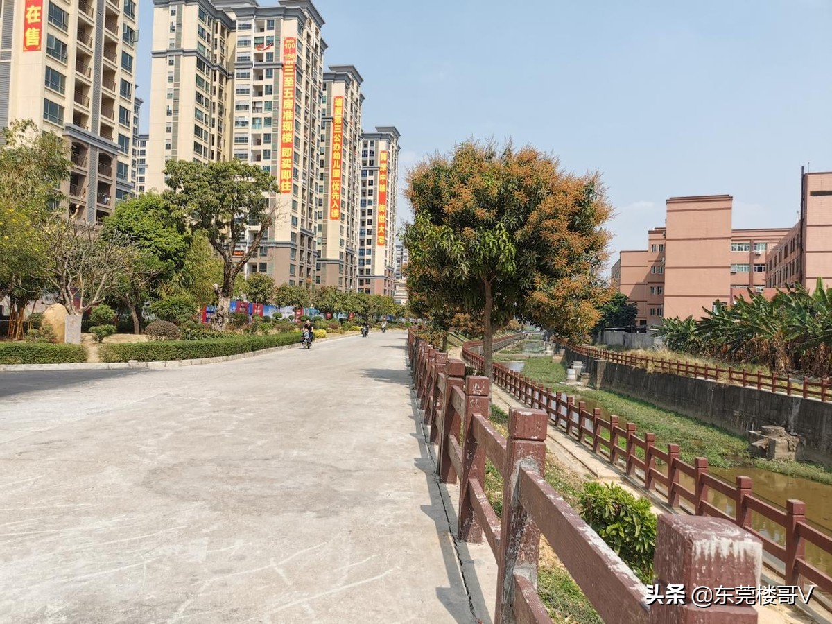 楼哥踩盘,塘厦林村春晖国际楼盘