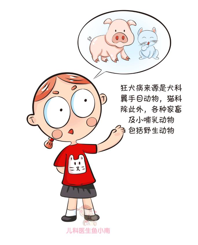 遇到狂犬病患者该怎么办,对狂犬病人的处理方式