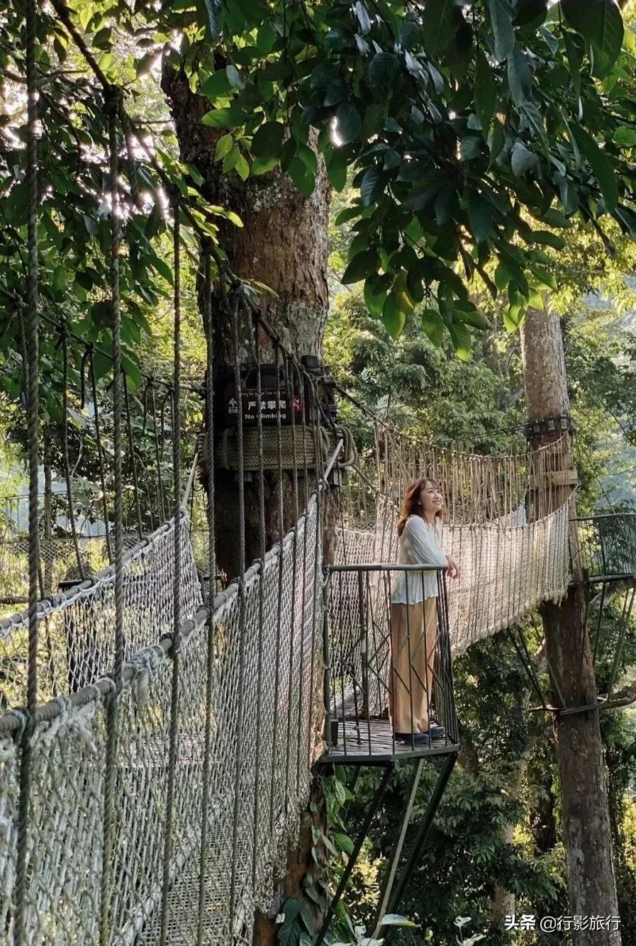 云南的西双版纳州怎么样,云南西双版纳景区怎么样