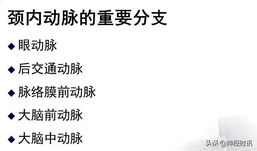 脑动脉解剖学讲解,脑膜中动脉解剖讲解