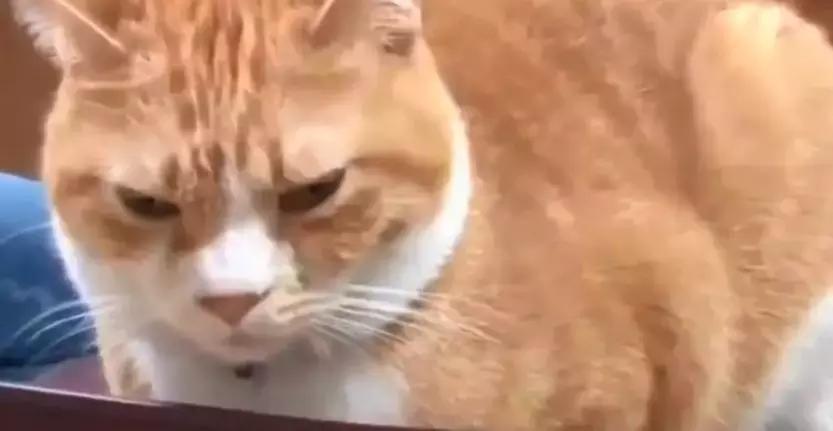 日元飞涨生活困难，看日本女孩如何十五年买三栋楼