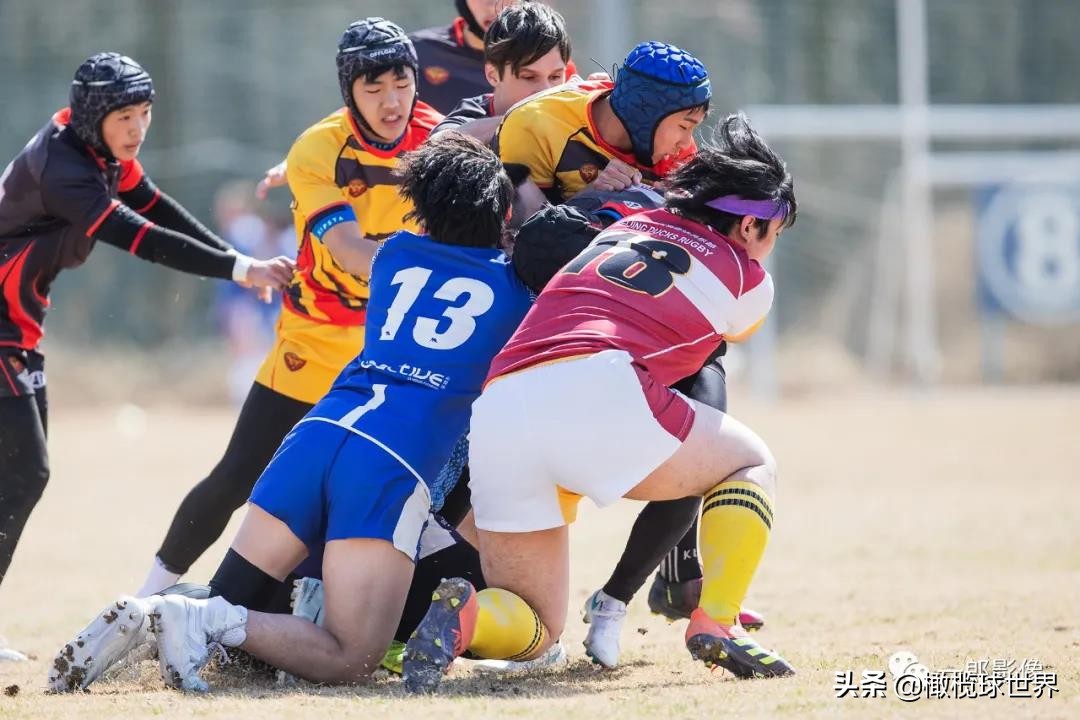 英式橄榄球今日赛程,2023年英式橄榄球中日韩青年比赛