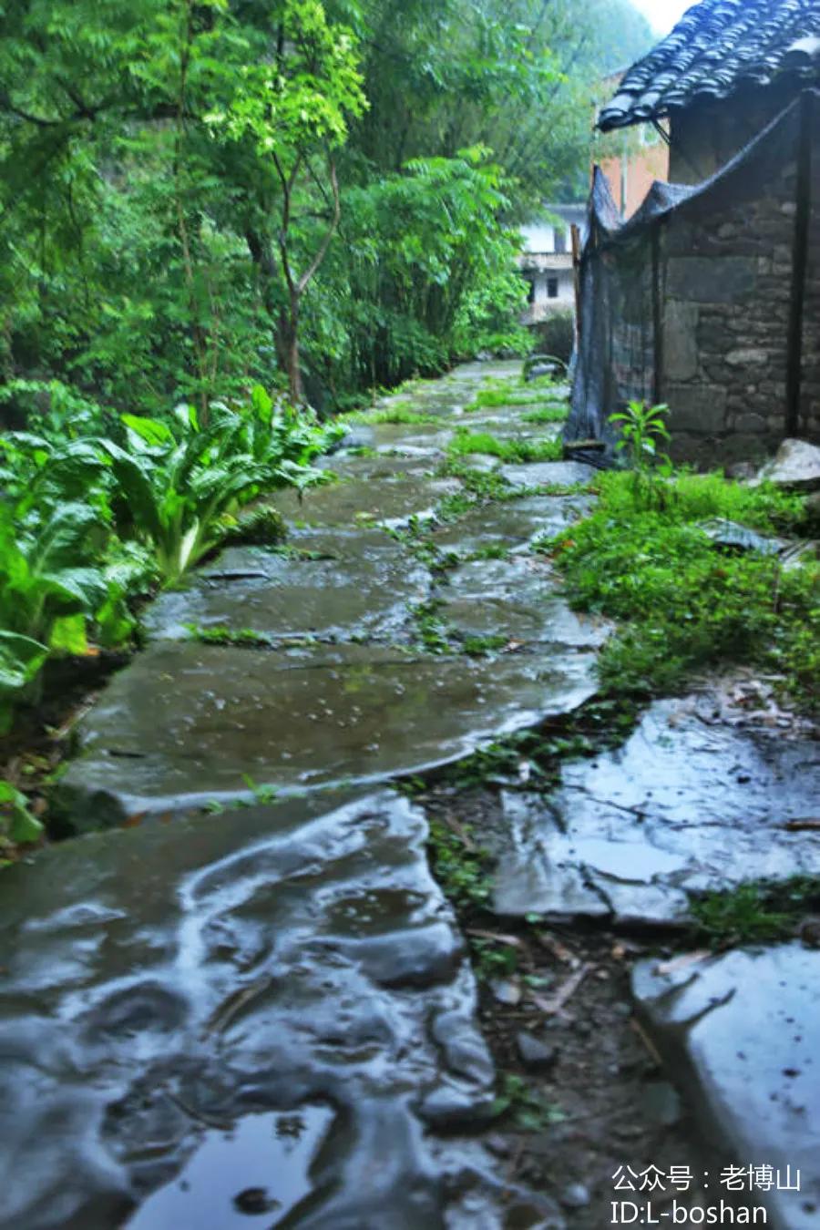 秋风起蝉蜕飘落,秋风起刘禹锡