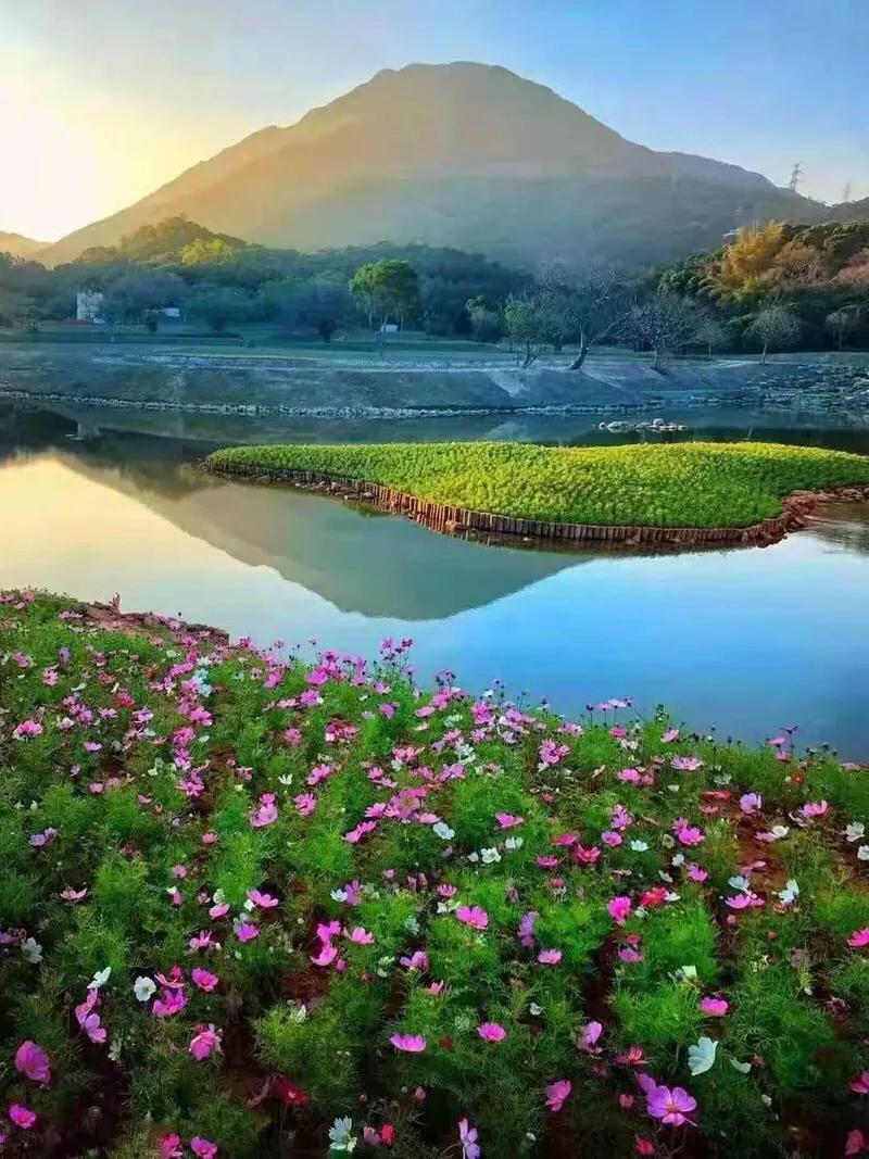 深圳海边最好的公园,深圳有几个靠海的公园