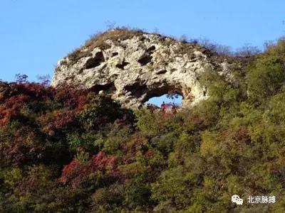 北京国家森林公园风景,画说北京故事