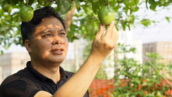 中国石化扶贫视频,中国石化扶贫纪实