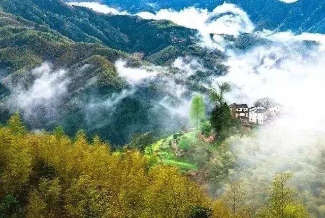 黄山秋景几月去最好,秋天几月份去黄山最好看的花海