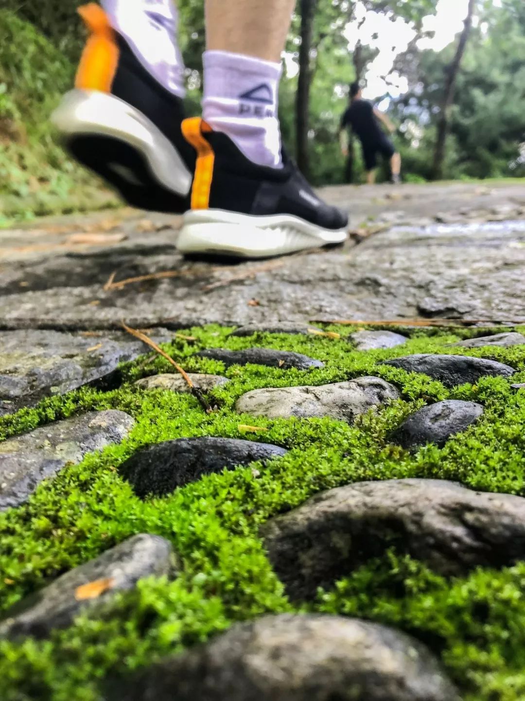 避暑攻略｜夏季均温19℃的大理苍山，才是当之无愧的纳凉避暑地