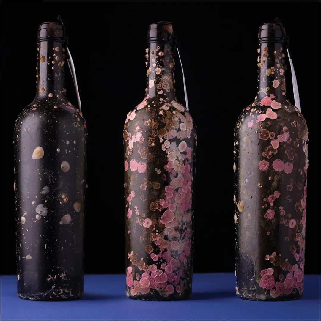 获得奥斯卡奖的中国作品,国际包装设计大奖