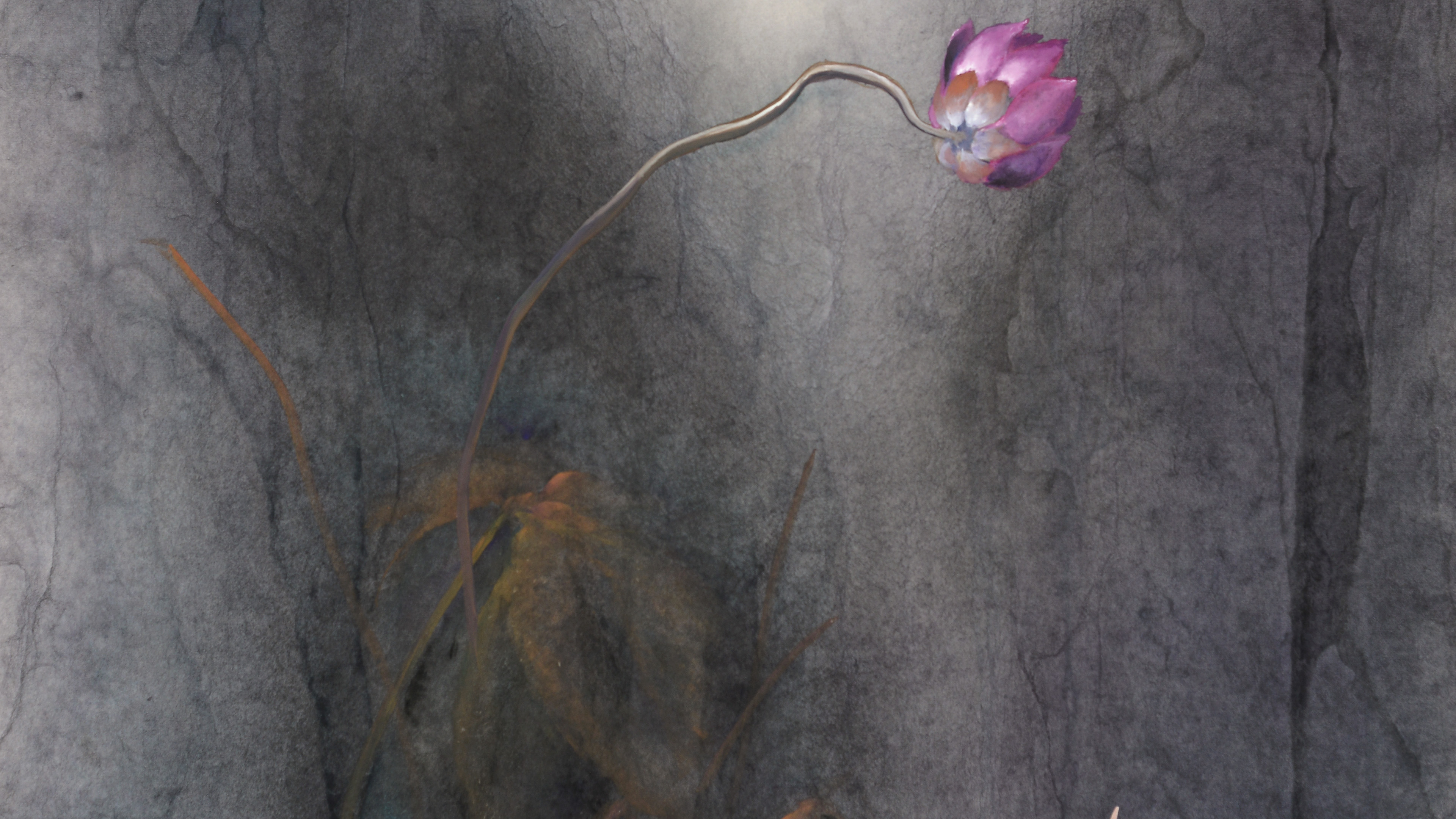 穆萨最新作品,穆萨的新歌