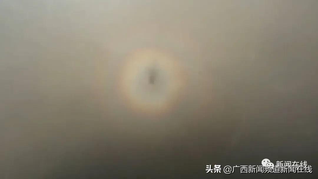 大明山雾凇美景美丽又动人,猫儿山震撼云海风光