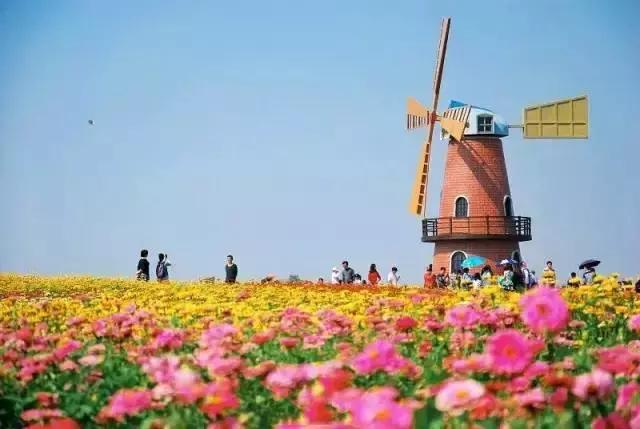 合肥秋季风景打卡地方排行榜,合肥最值得打卡地