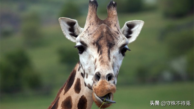 25个生活中冷知识,24个冷知识真实有趣的存在