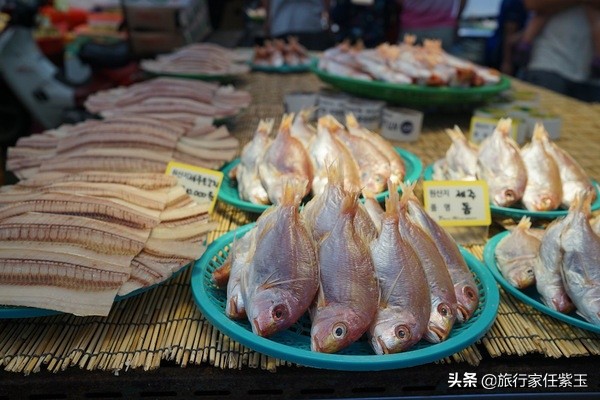 济州岛免签可以去韩国其他地方吗,济州岛免签自由行攻略