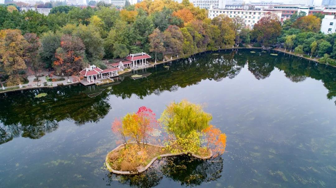 5大校区，占地超7千亩，图书馆藏书340余万册！安徽这所高校大到心累