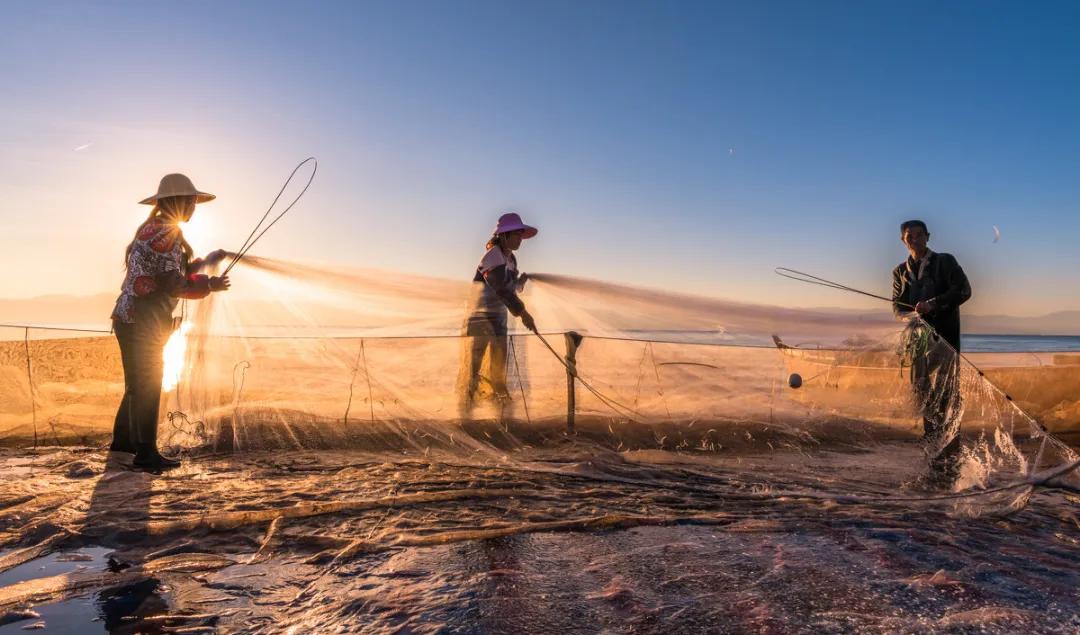 成杰智慧,成杰智慧说文章