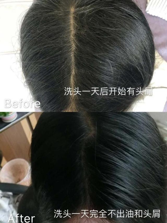 袁咏仪为什么头发变蓬,48岁袁咏仪全部视频