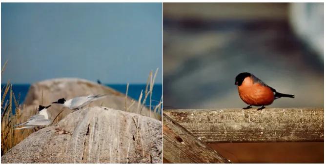 哈苏相机为什么那么独特,让人惊叹的摄影