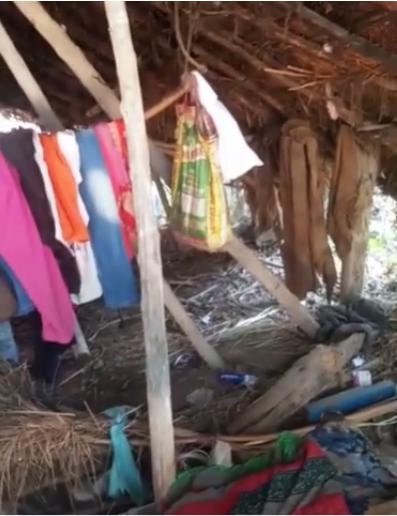 疫情来了，道路封了，印度农民工十天徒步2000公里回家