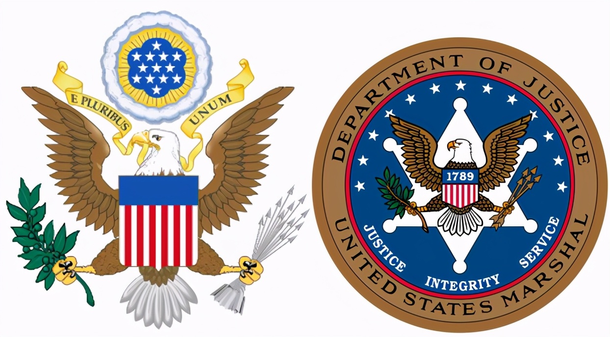 罕见的特种部队徽章,罕见徽章