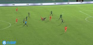 我们是足球队2024中文,我们是足球队视频