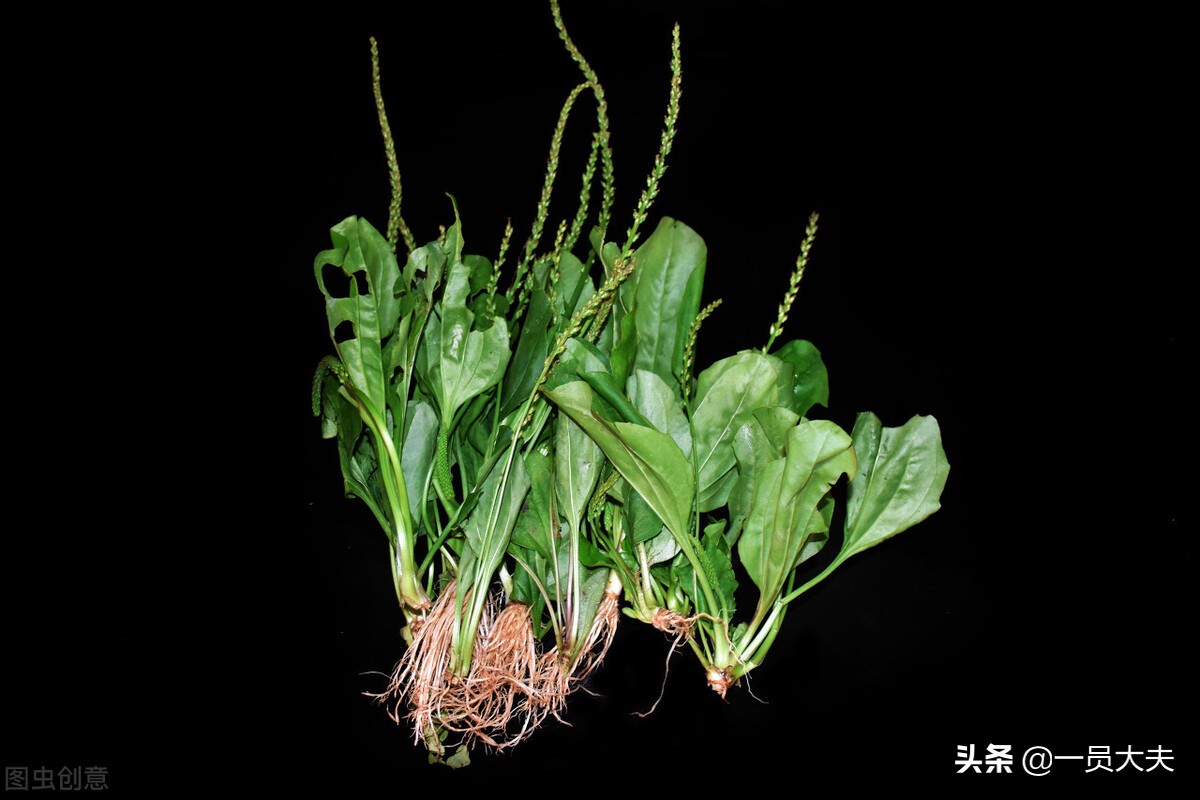 浅谈女士更年期尿道感染的日常防治