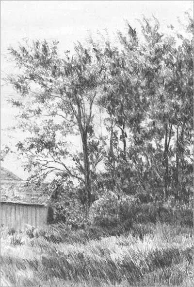 这些绝美的摄影每一张都值得珍藏,40张经典素描风景图快来临摹吧