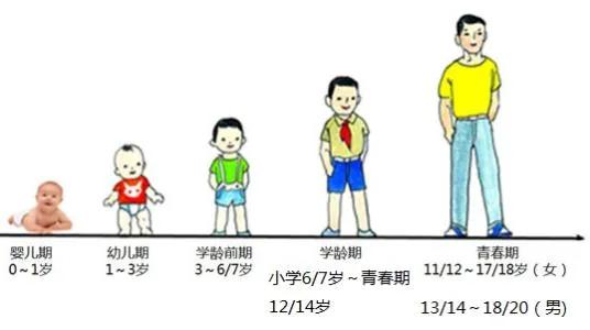 阳气对生命的好处,阳气对人体有什么作用