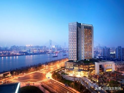 上海五星级酒店推荐大全,上海市五星级宾馆有多少家