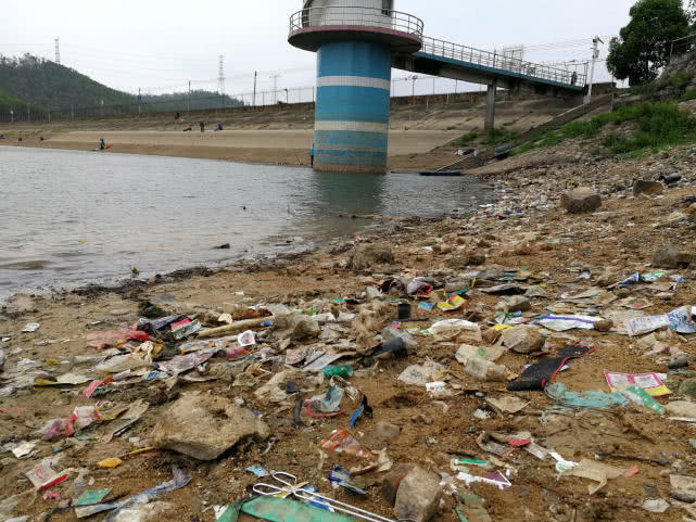 鱼身体有柴油味怎么去除,野生鱼有柴油味怎么处理