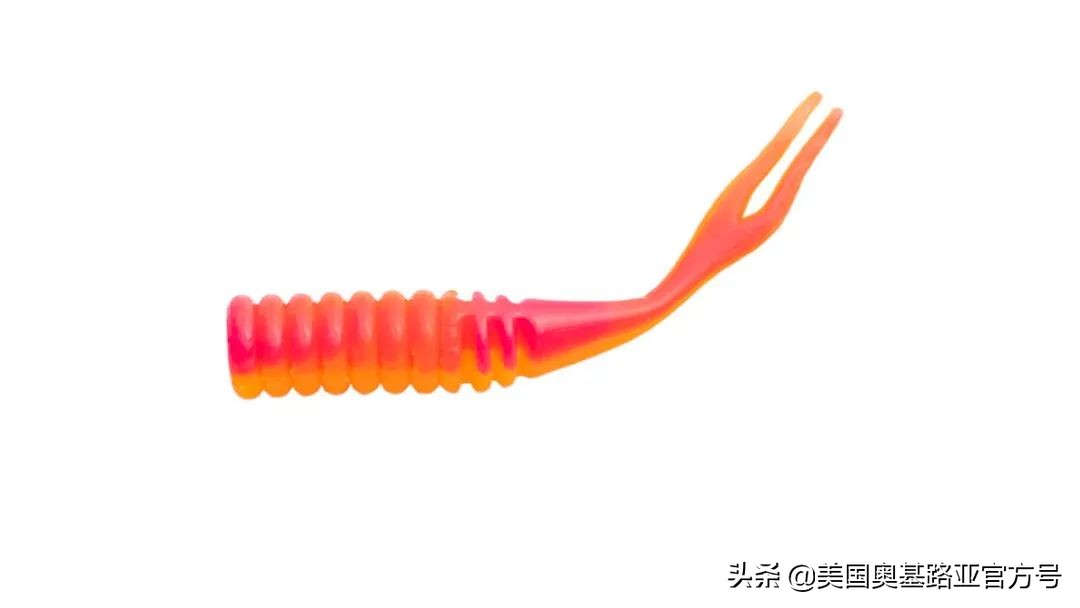 全国渔具展会2021时间表图片,2023国际渔具展会大全一览表