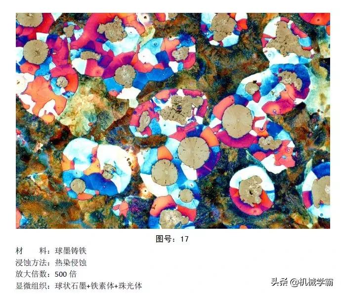马氏体、奥氏体、珠光体，20种材料彩色金相，带你轻松识别