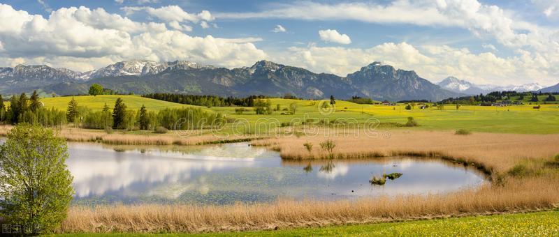 书虫系列英语读物,书虫系列英语读物阅读方法