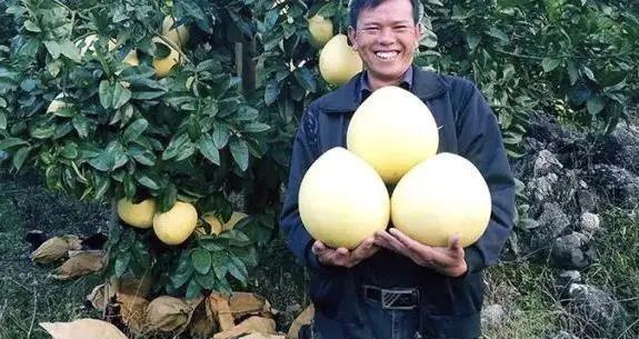 30岁小伙下乡创业7万元自己当老板,97年小伙返乡卖特产带动200人就业