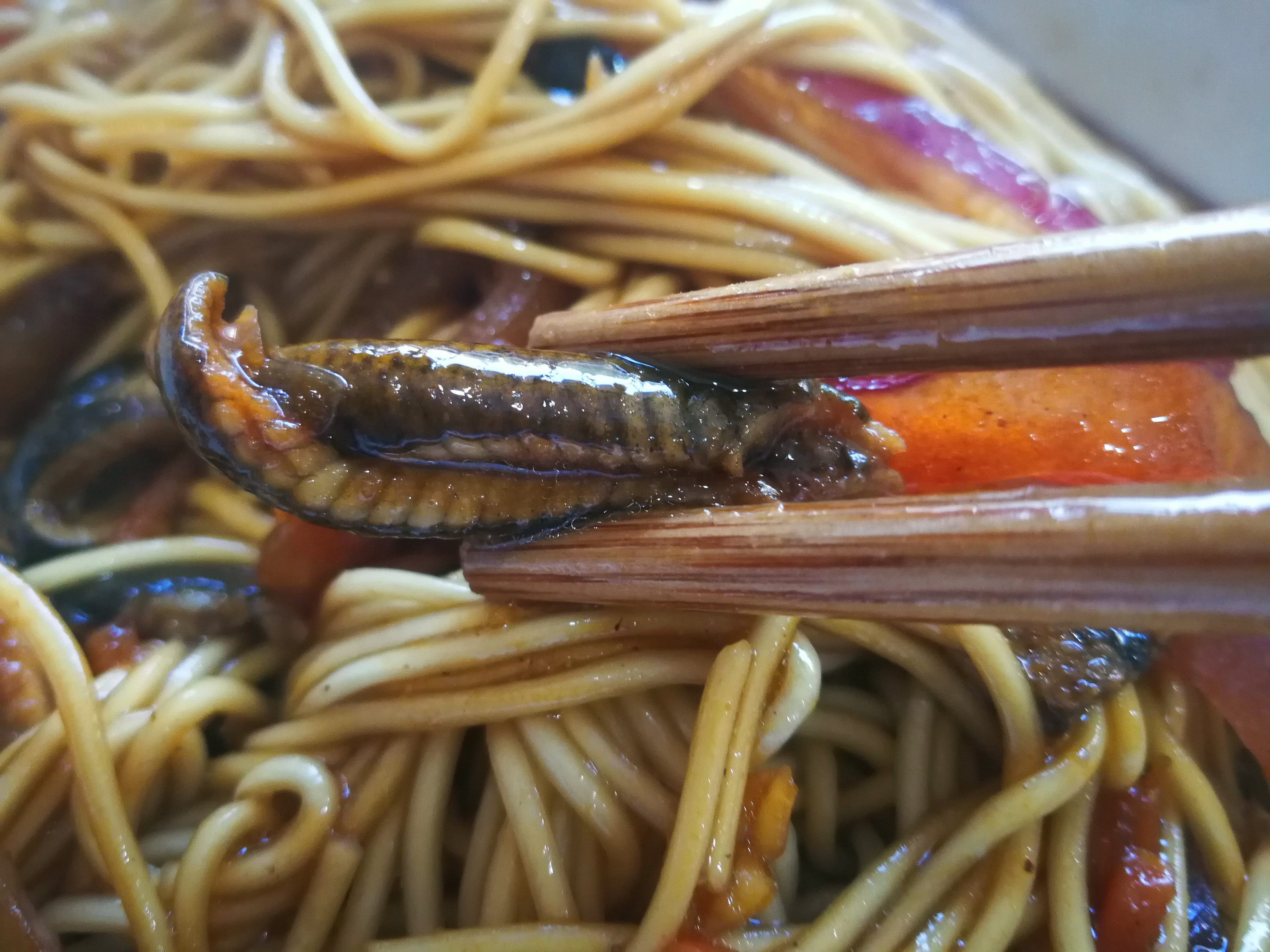 意外惊喜：太仓小路深处的这家扬州面馆口味地道，鳝丝面爽口鲜甜