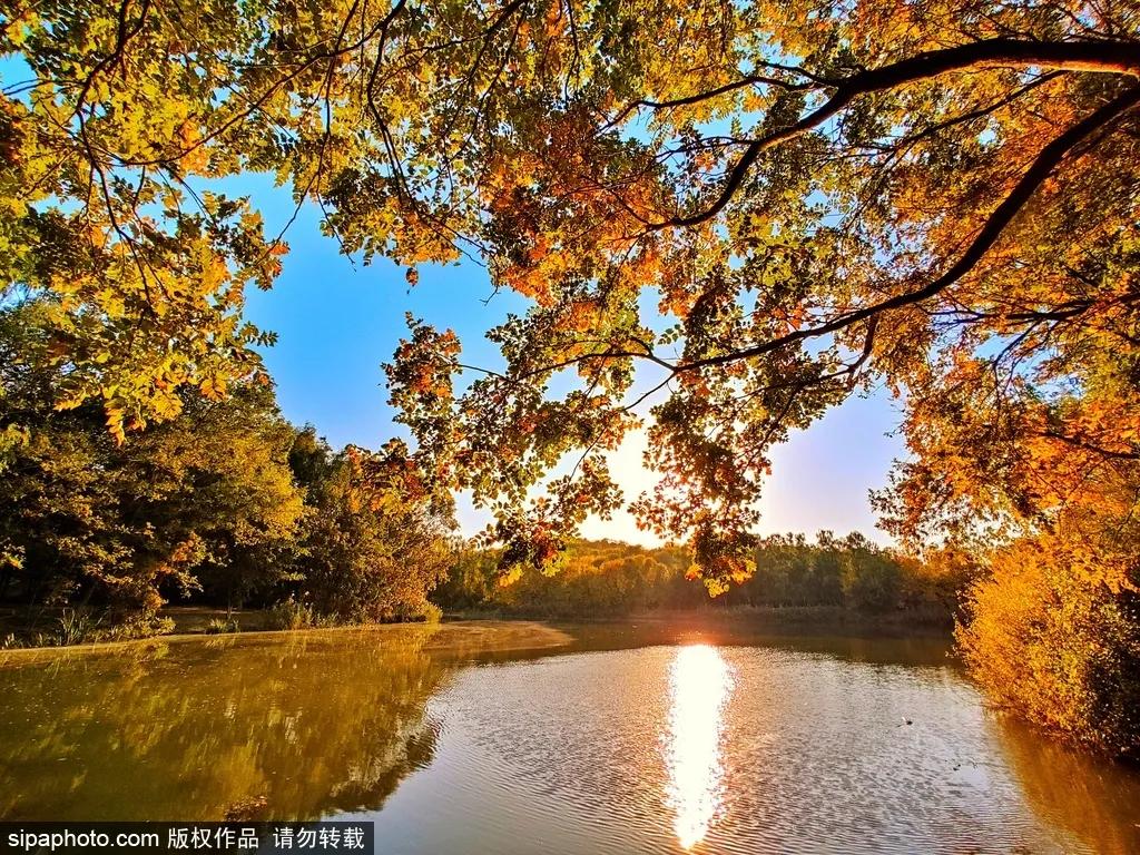 部分免费！北京赏秋“性价比”最高选择都在这儿了！
