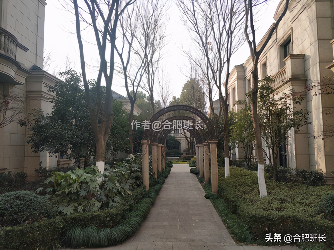 汤臣一品1900平楼王,可以传世的户型