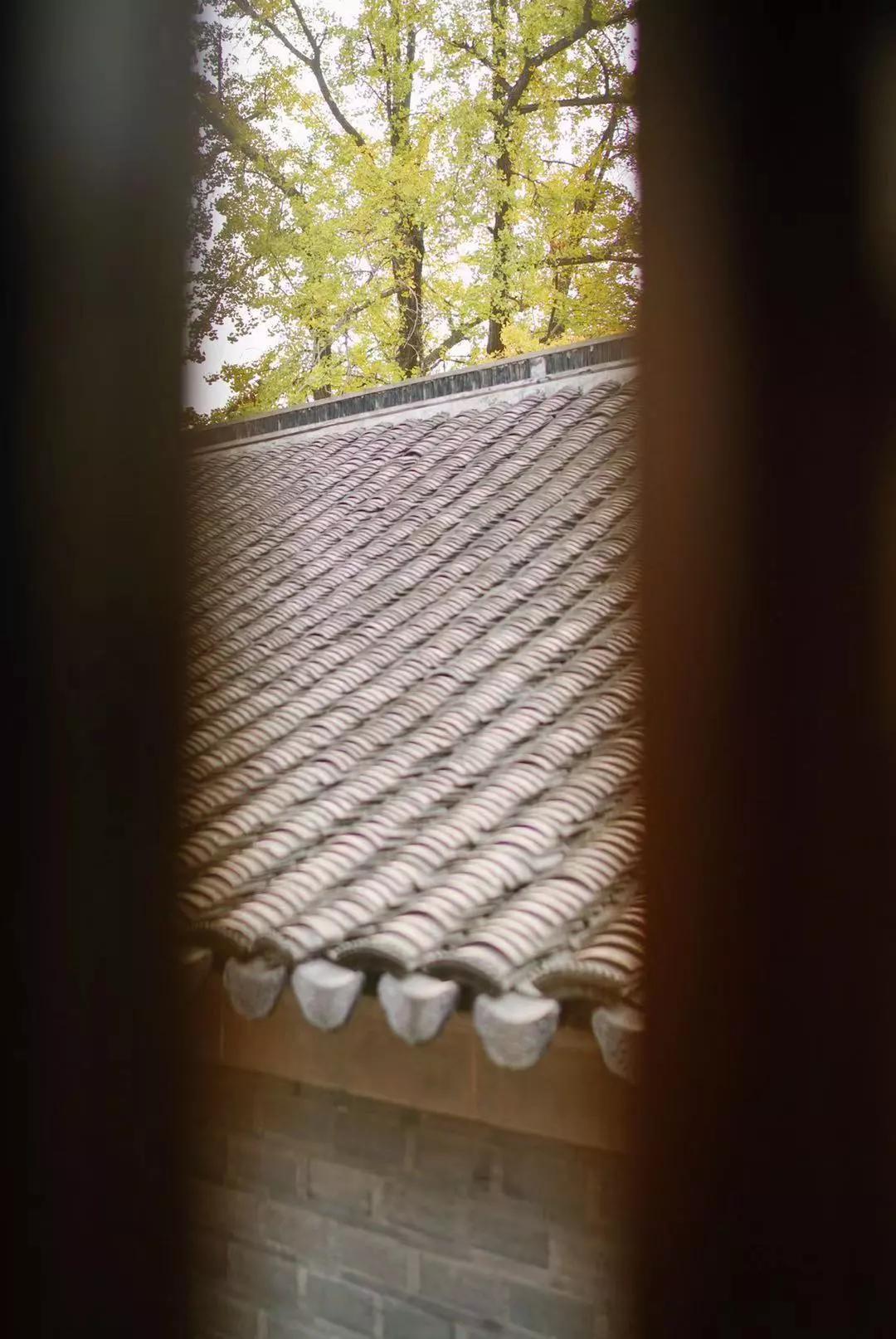 汉服体验打卡,免费体验汉服