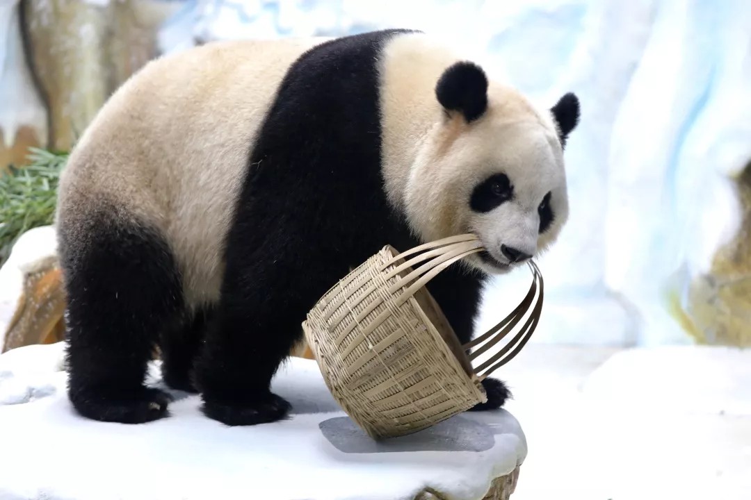 南京汤山紫清湖旅游区森林温泉,南京汤山紫清湖温泉旅游度假村