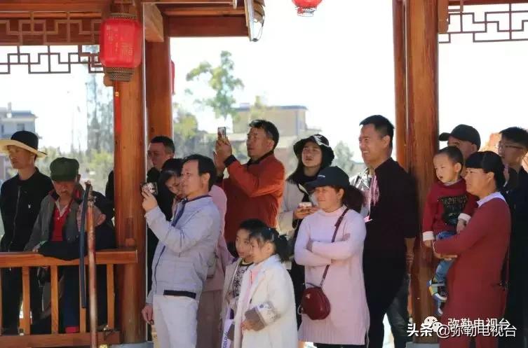 太热闹!弥勒花海、人海、车海、舞海...这些人上镜了!