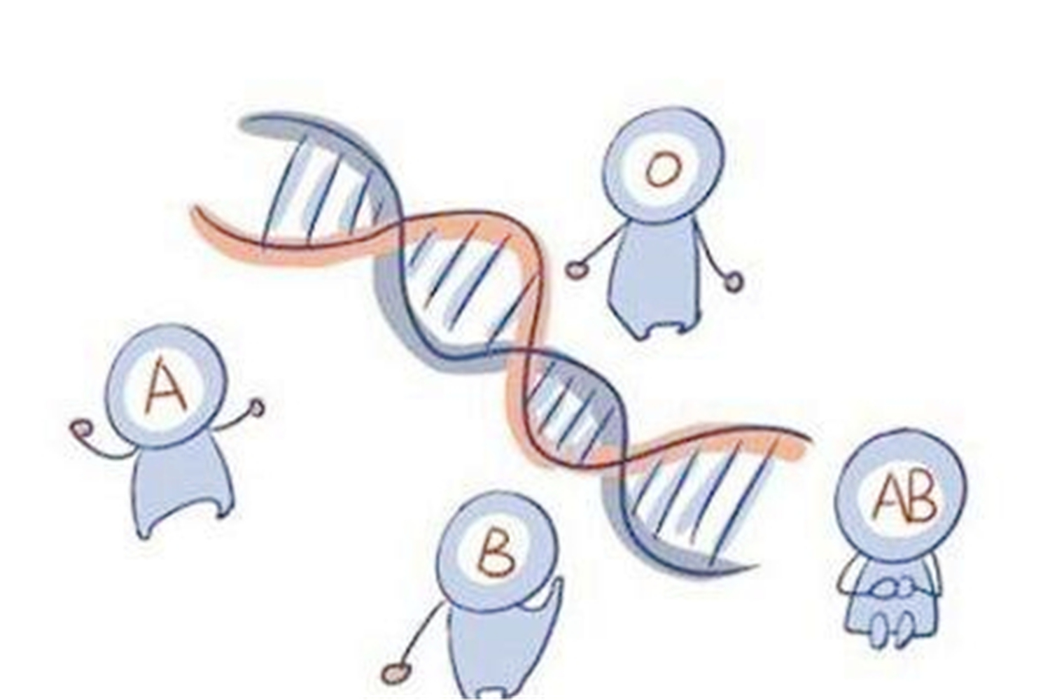 血型孩子智商有问题,孩子的四种血型聪明度