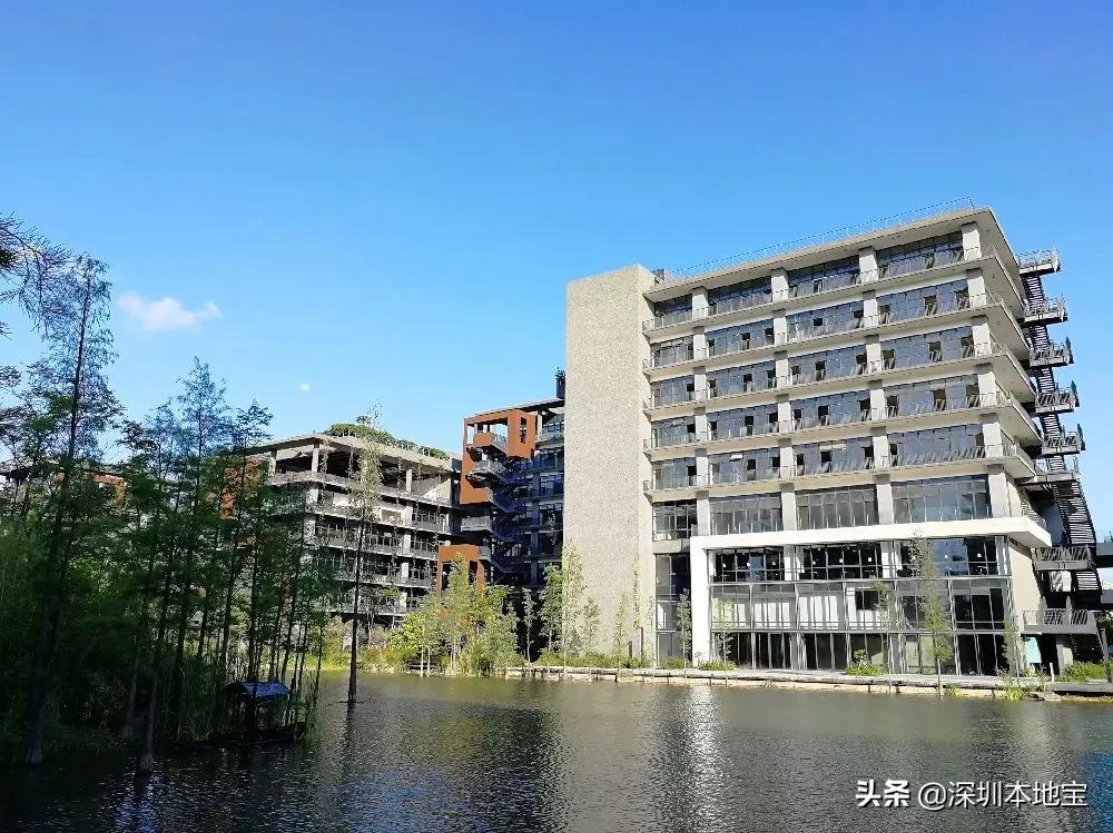 深圳免费的景点有哪些地方,深圳有哪些免费又好玩的地方景点