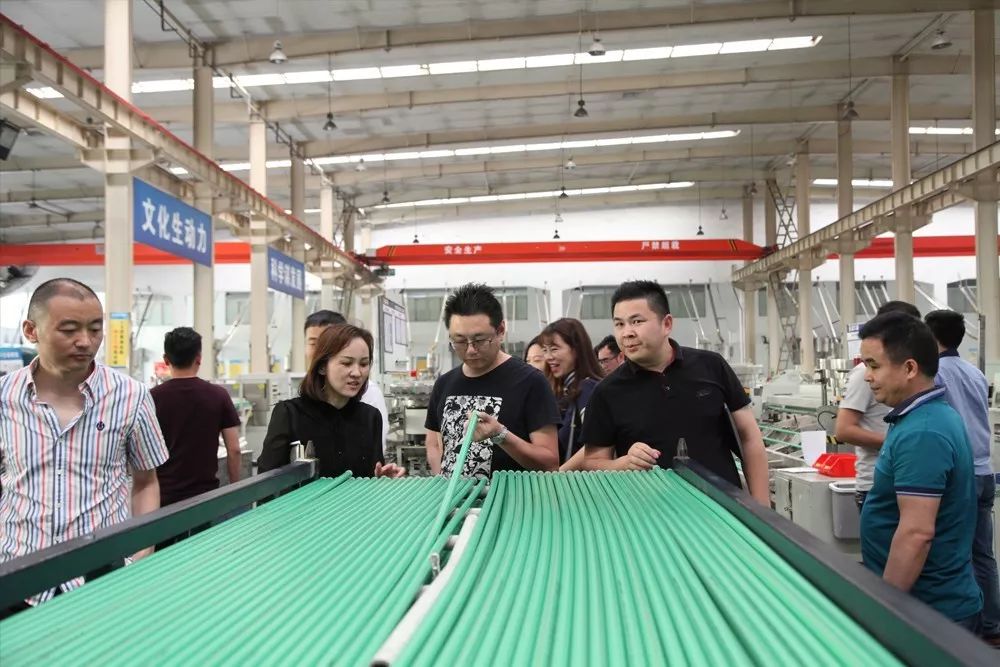 金牛绿翡翠和绿色抗菌管哪个好,金牛ppr绿翡翠抗菌管