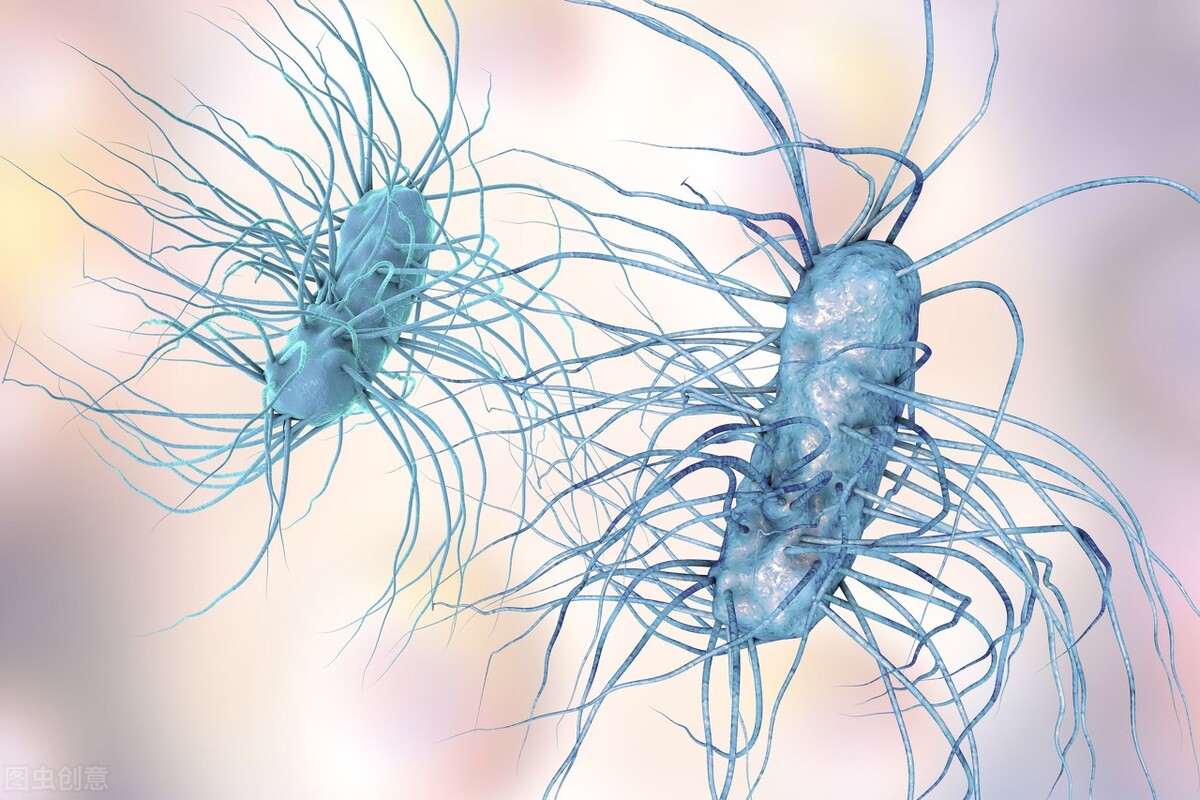 放疗前有什么注意的事项,鼻咽癌放疗期间吃什么有助于恢复