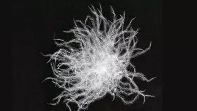 恭喜你！在冻成狗之前看到了这篇最最最靠谱的气凝胶服装测评