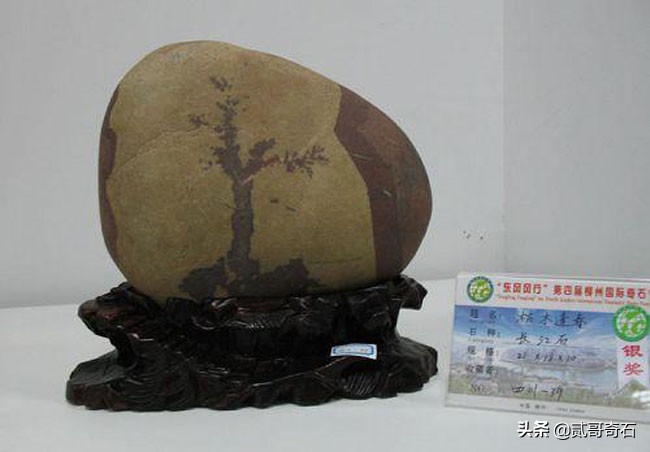 奇石店老板卖石头,奇石店